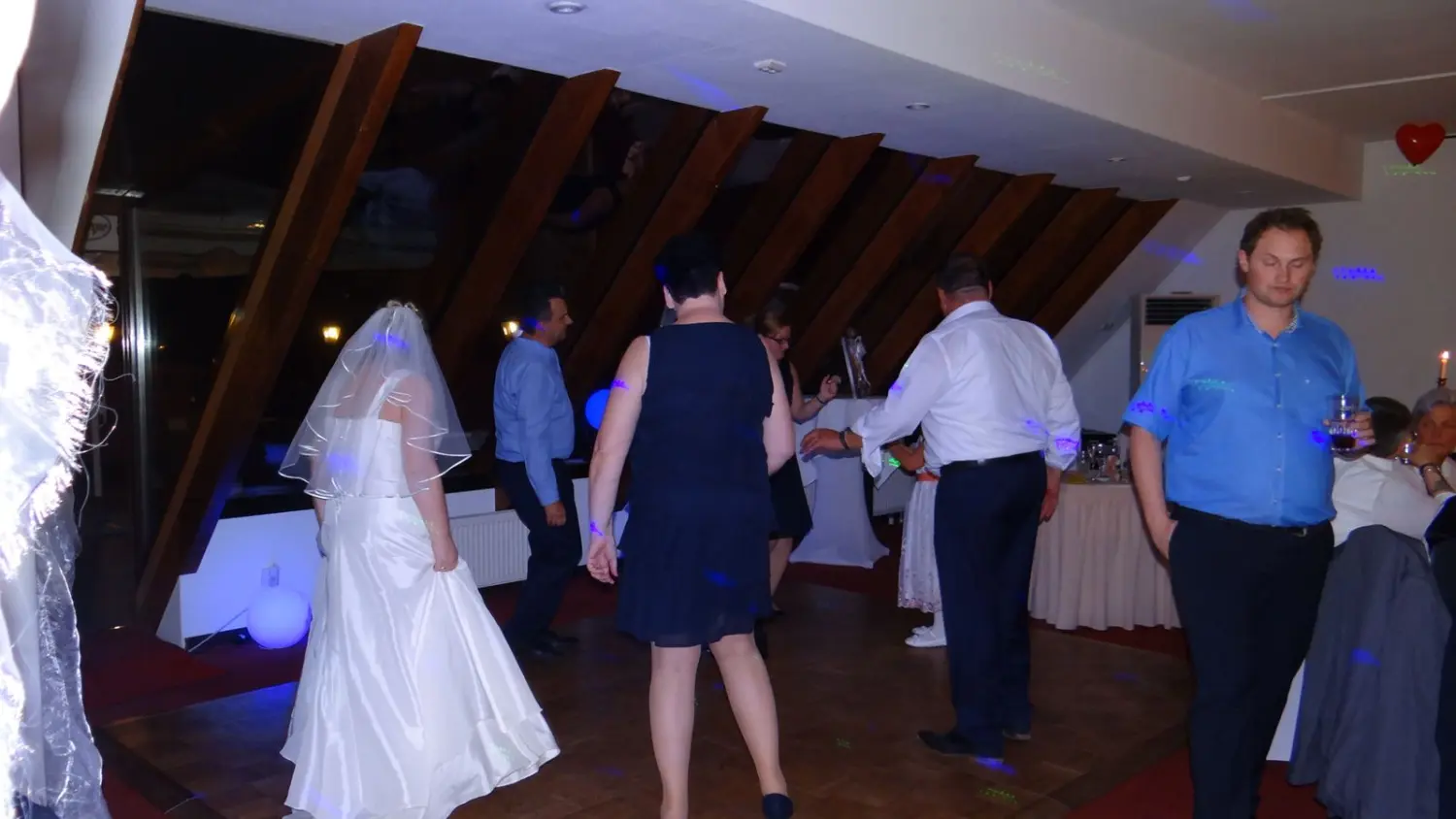 Musikparty von Fridolins Disco