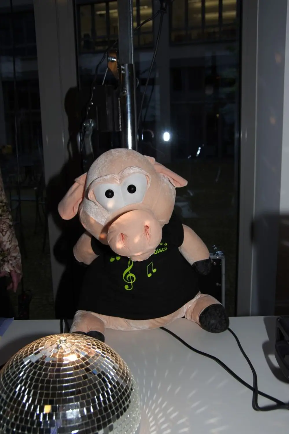 Musikparty von Fridolins Disco